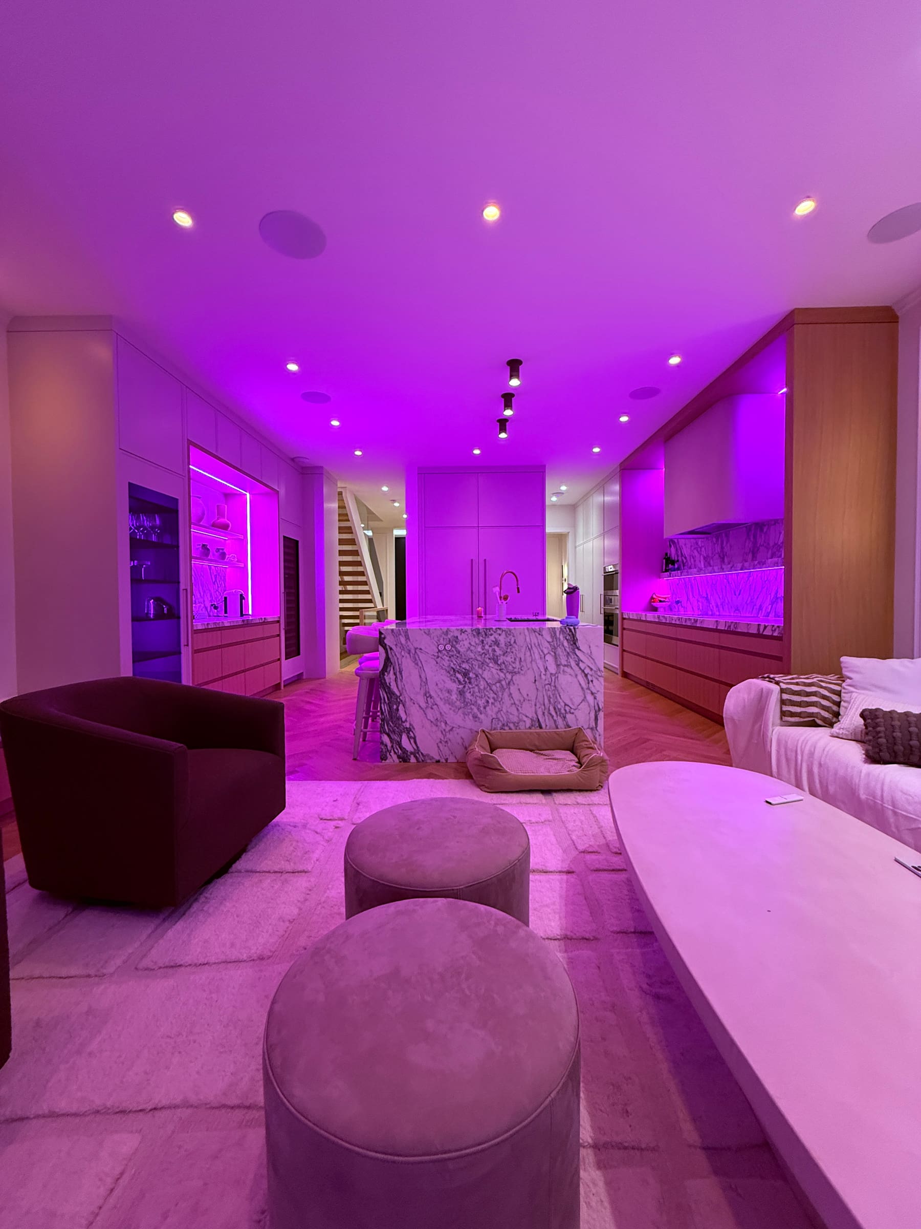Purple lighting across an open kitchen and sitting room